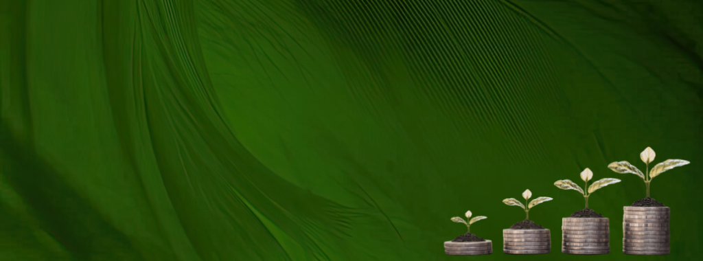 revised about moneymindfulmission